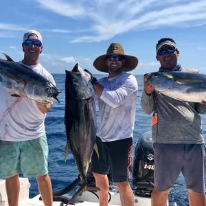 Meet your Posher, Derek